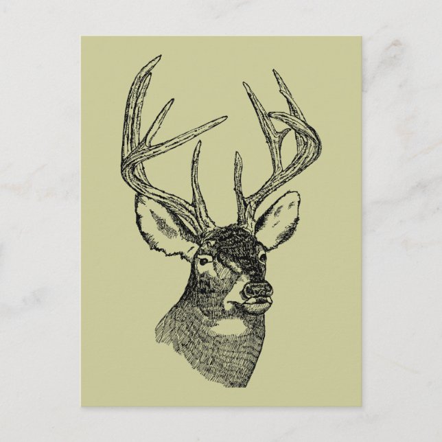 Vintage deer art graphic postcard (Front)