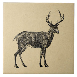 Vintage Deer Art Illustrated Deer Ceramic Tile