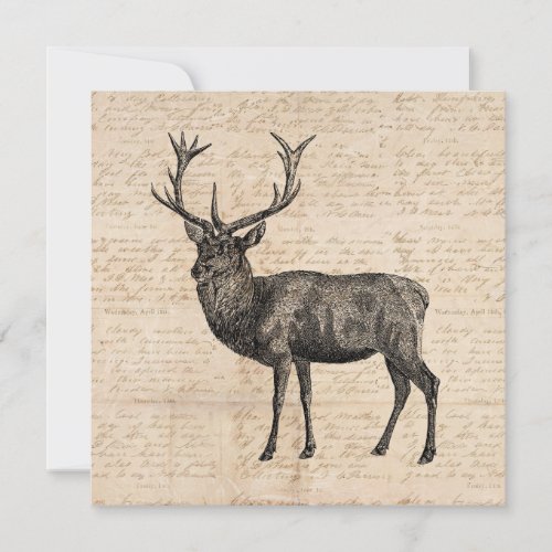 Vintage Deer Art with Aged Script Paper Background Invitation