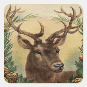 Vintage Deer Buck Stag Nature Rustic Christmas Square Sticker