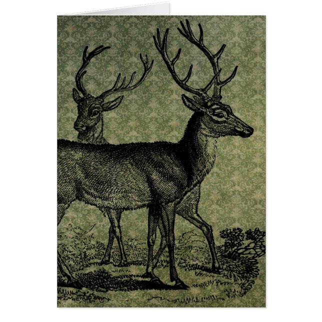 Vintage Deer Cards (Front)
