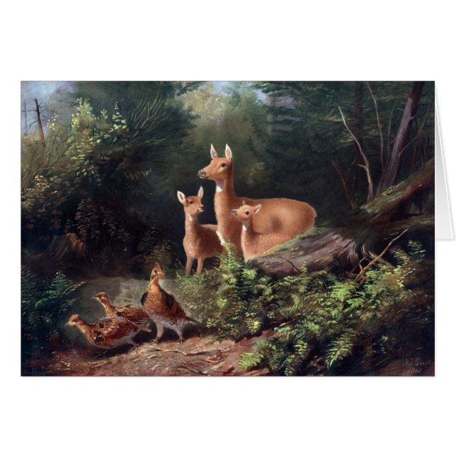 Vintage - Deer in Peaceful Forest Scene, (Front Horizontal)