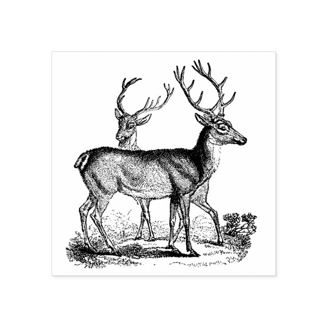Vintage Deer in the Forest Rubber Stamp (Imprint)
