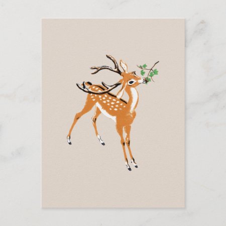 Vintage Deer Postcard