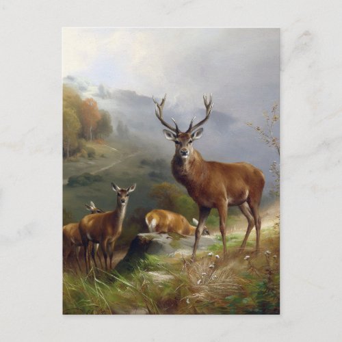 Vintage Deer Stag _ Animals Old Illustration Art Postcard