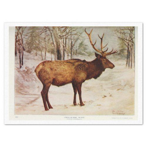 Vintage Deer Stag Elk Ephemera Decoupage Tissue Paper