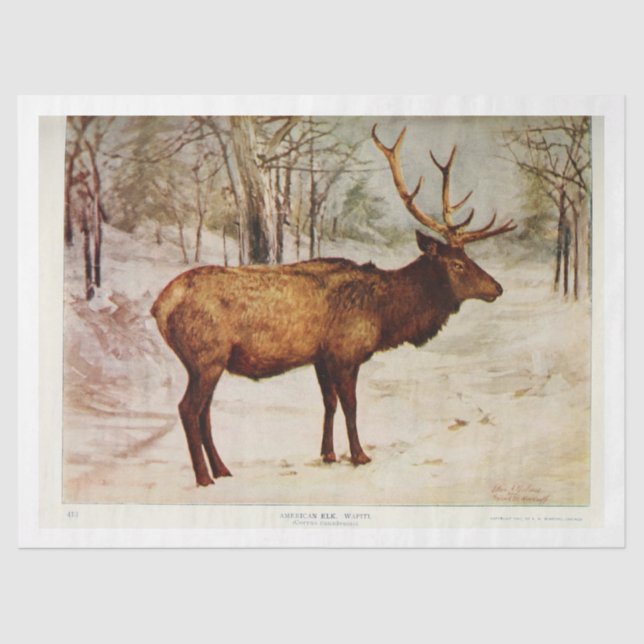 Vintage Deer Stag Elk Ephemera Decoupage Tissue Paper (Front)