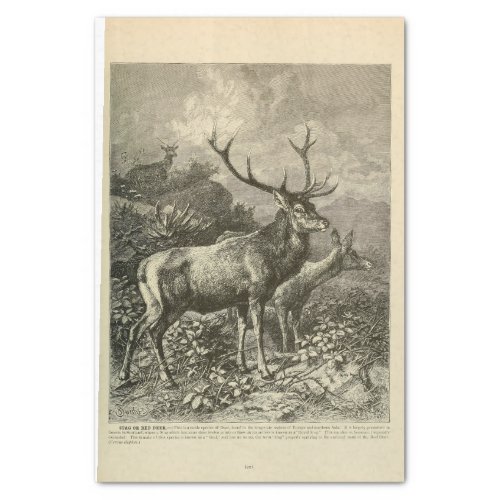 Vintage Deer Stag Ephemera Decoupage Tissue Paper