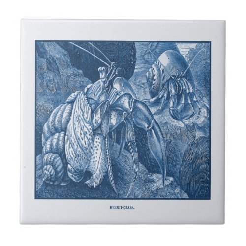 Vintage Delft Blue Nautical Hermit Crabs Etching Ceramic Tile