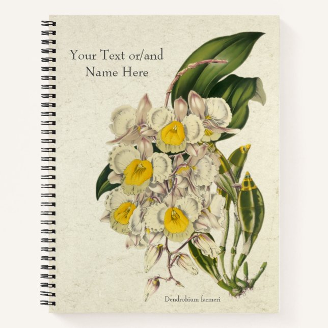 Vintage Dendrobium farmeri Orchid Notebook (Front)