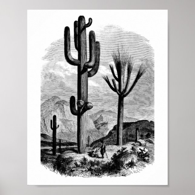 Vintage desert Landscape Illustration Art  Poster (Front)