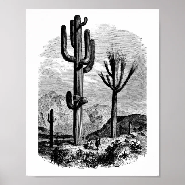 Vintage desert Landscape Illustration Art Poster | Zazzle