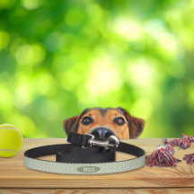 Vintage Design Cream and Green Dog Lead