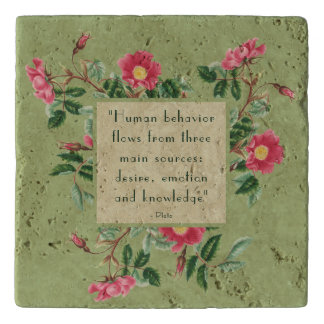 Vintage Design Sage Green Pink Roses Trivet