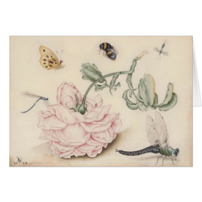 Vintage design with a pale pink rose and insects