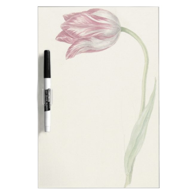 Vintage design with pink and white tulip