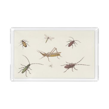 Vintage design with seven different insects