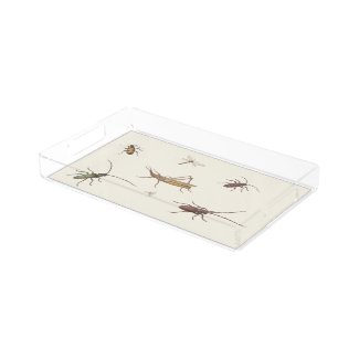 Vintage design with seven different insects acrylic tray