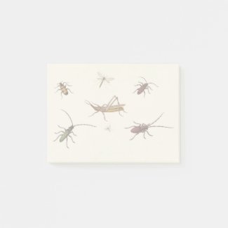 Vintage design with seven different insects post-it notes