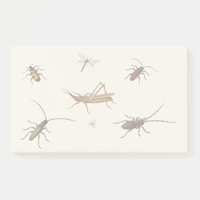 Vintage design with seven different insects