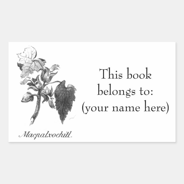 Vintage Devil's hand tree etching bookplate (Front)