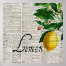 Vintage Dictionary and Hand-Drawn Lemon Tree