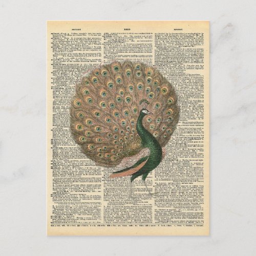 Vintage Dictionary Art Beautiful Peacock Bird Postcard