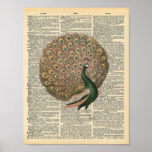 Vintage Dictionary Art Beautiful Peacock Bird Poster