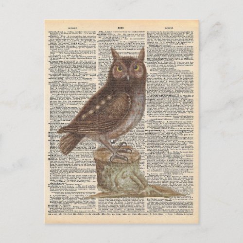 Vintage Dictionary Art Brown Owl Bird Postcard