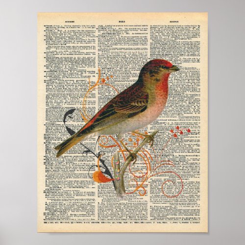 Vintage Dictionary Art Pretty Red Orange Bird Art Poster