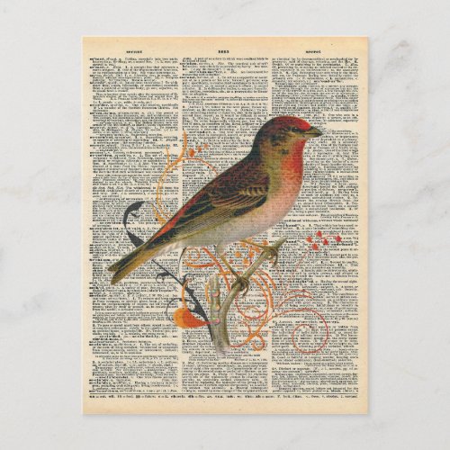 Vintage Dictionary Art Pretty Red Orange Bird Postcard