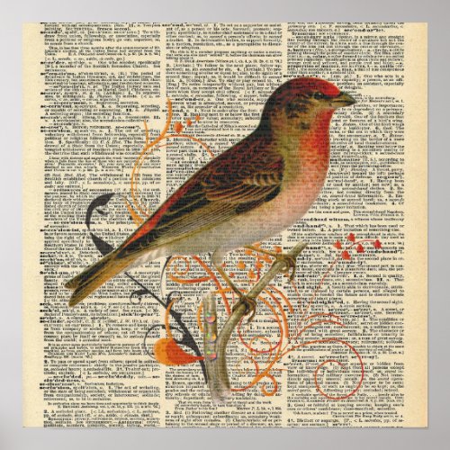 Vintage Dictionary Bird  Poster
