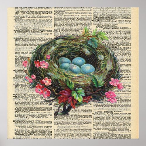 Vintage Dictionary Birds Nest  Poster