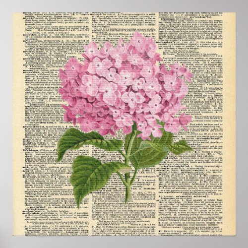 Vintage Dictionary Pink Hydrangea Flower Poster