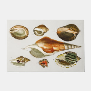 Vintage Different types of mollusks shells  Doormat