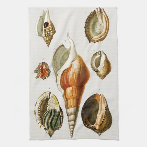 Vintage Different types of mollusks shells Kitchen Towel