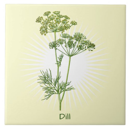 Vintage Dill Herb Botanical Art Ceramic Tile