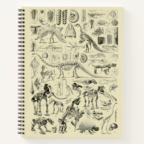 Vintage Dinosaur Bone Fossils Art Notebook