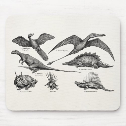 Vintage Dinosaur Illustration Retro Dinosaurs Mouse Pad