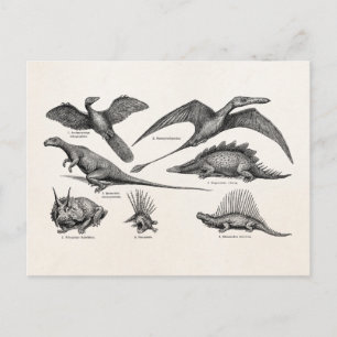 Vintage Dinosaur Illustration Retro Dinosaurs Postcard
