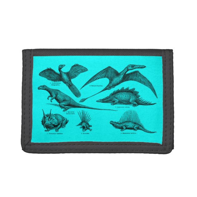 Buckle-Down Men's Canvas Bifold Wallet - Dinosaur Print, 4.0"x3.5" (Made In USA) - View #3