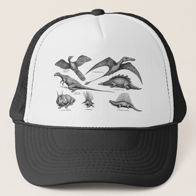Vintage Dinosaur Illustration Retro Dinosaurs Trucker Hat (Front)