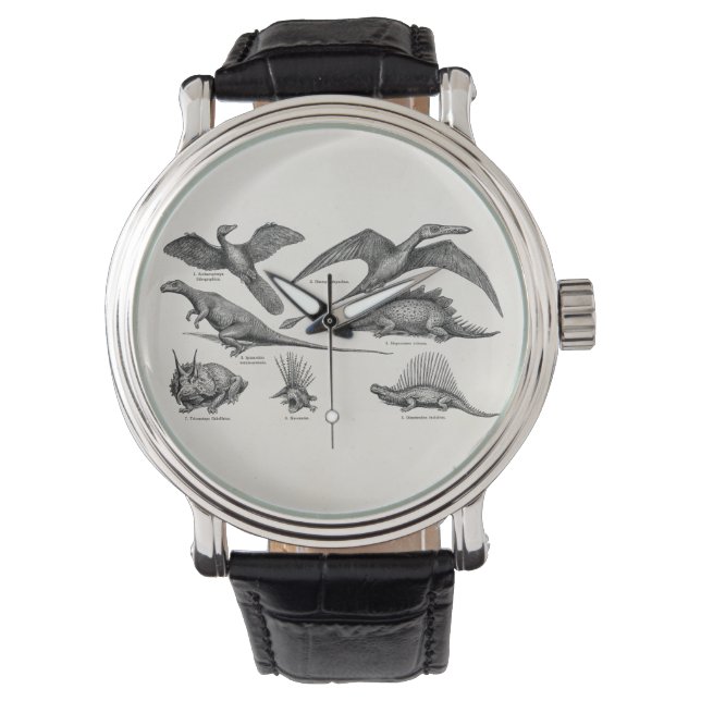 Vintage Dinosaur Illustration Retro Dinosaurs Watch (Front)