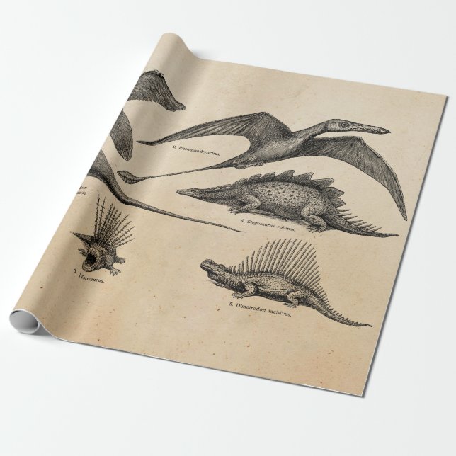 Vintage Dinosaur Illustration Retro Dinosaurs Wrapping Paper (Unrolled)