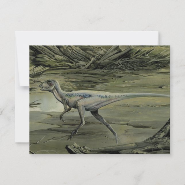 Vintage Dinosaurs, a Cretaceous Hypsilophodon (Front)