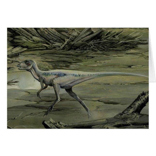 Vintage Dinosaurs, a Cretaceous Hypsilophodon (Front Horizontal)