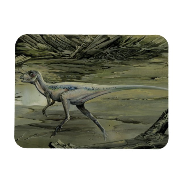 Vintage Dinosaurs, a Cretaceous Hypsilophodon Magnet (Horizontal)