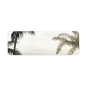 Vintage Dinosaurs, Amargasaurus with Palm Trees Label