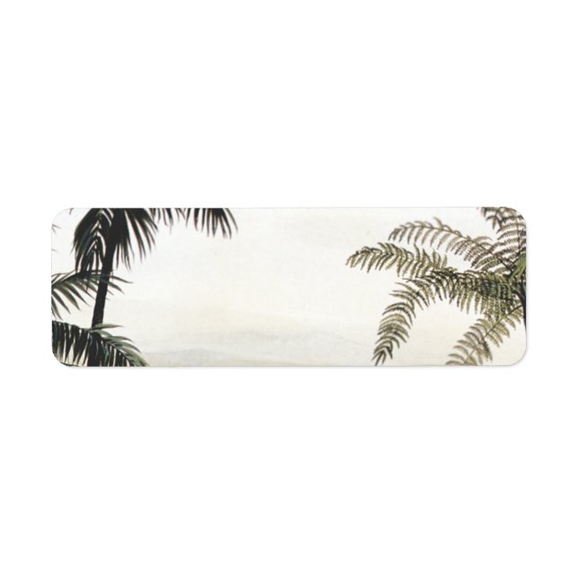 Vintage Dinosaurs, Amargasaurus with Palm Trees Label (Front)