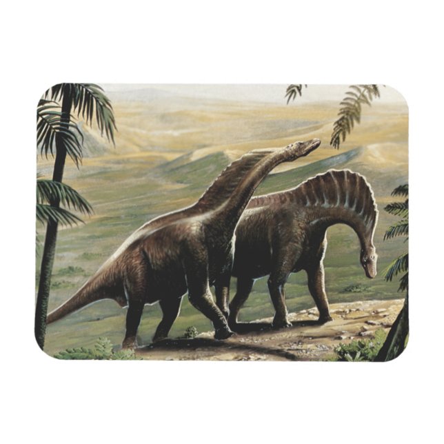 Vintage Dinosaurs, Amargasaurus with Palm Trees Magnet (Horizontal)